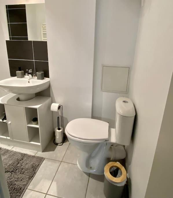 Vaste Appartement Renove - Centre Ville Bourg-en-Bresse Esterno foto